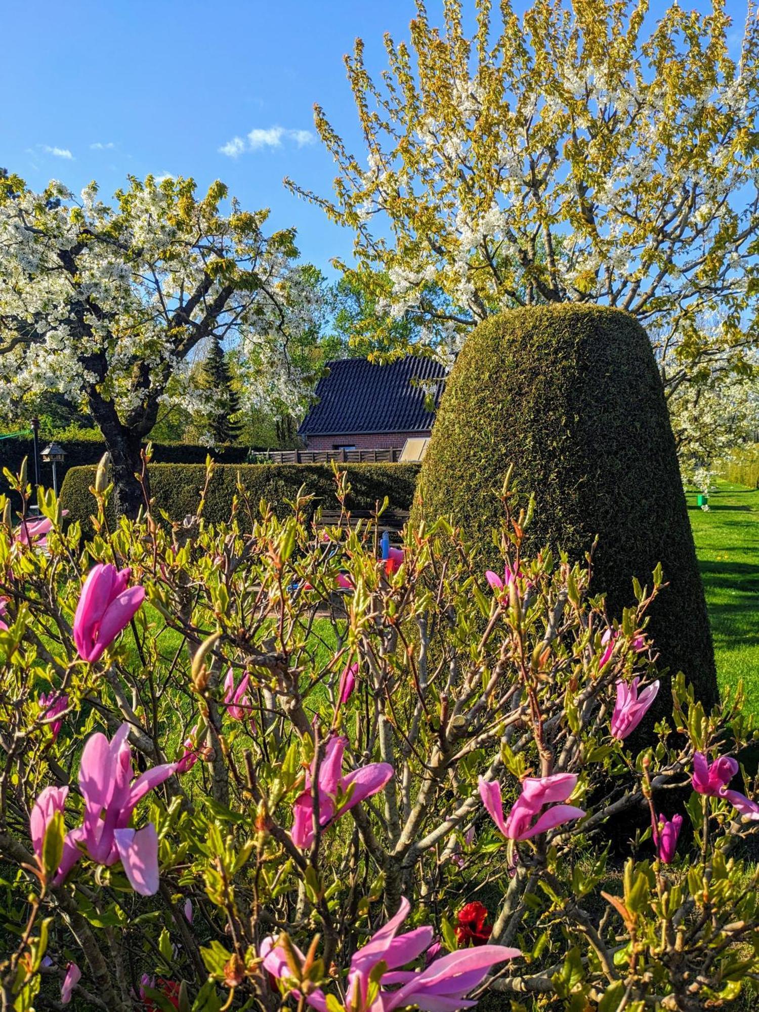 Вилла Haeuschen Im Gruenen Jornstorf Экстерьер фото