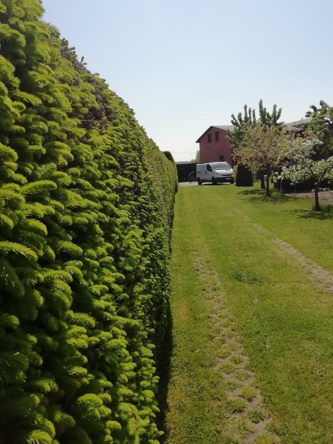 Вилла Haeuschen Im Gruenen Jornstorf Экстерьер фото